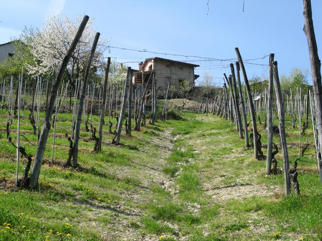 B&B Acaso Serralunga d'Alba Buitenkant foto